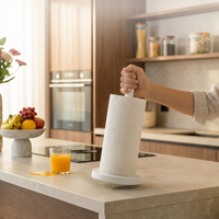 Paper Towel Holder