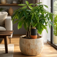 Erogatore d'Acqua XL 950 ml - Set da 4 | Irrigazione Automatica in Terracotta per Grandi Piante da Interno