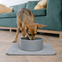 Hundenapf mit Diatomit-Unterlage