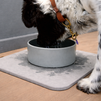 Hundenapf mit Diatomit-Unterlage