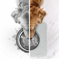 Hundenapf mit Diatomit-Unterlage